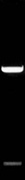 PdiI (NaeI)