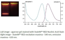 StainIN™ RED Nucleic Acid Stain