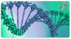 DNA Polymerase I