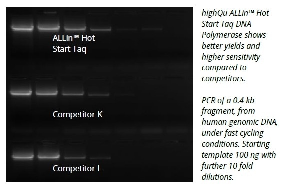 ALLin™ Hot Start Taq  Polymerase