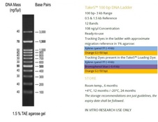 Take5™100 kb DNA Ladder