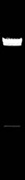 EcoO109I (DraII)