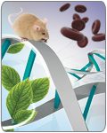 MagJET Plant Genomic DNA Kit