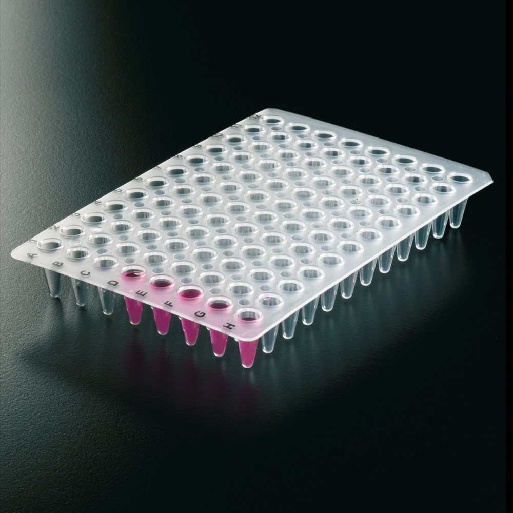 PCR PLATE 96 WELL LOW PROFILE