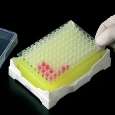 ISOFREEZE RACK FOR PCR
