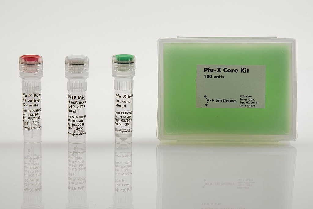 Pfu-X Core Kit