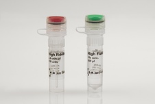 High Fidelity Hot Start Polymerase