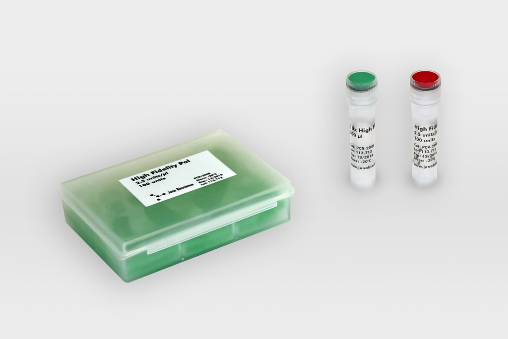 High Fidelity Polymerase
