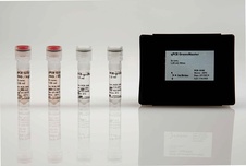 qPCR GreenMaster, 2 x 1,25 ml (2x conc.)