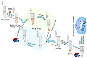 Blood-Animal-Plant DNA Preparation Kit - spin columns-based
