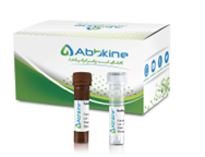 Značící kity pro barvení buněk a organel AbbineTraKine™ Pro
