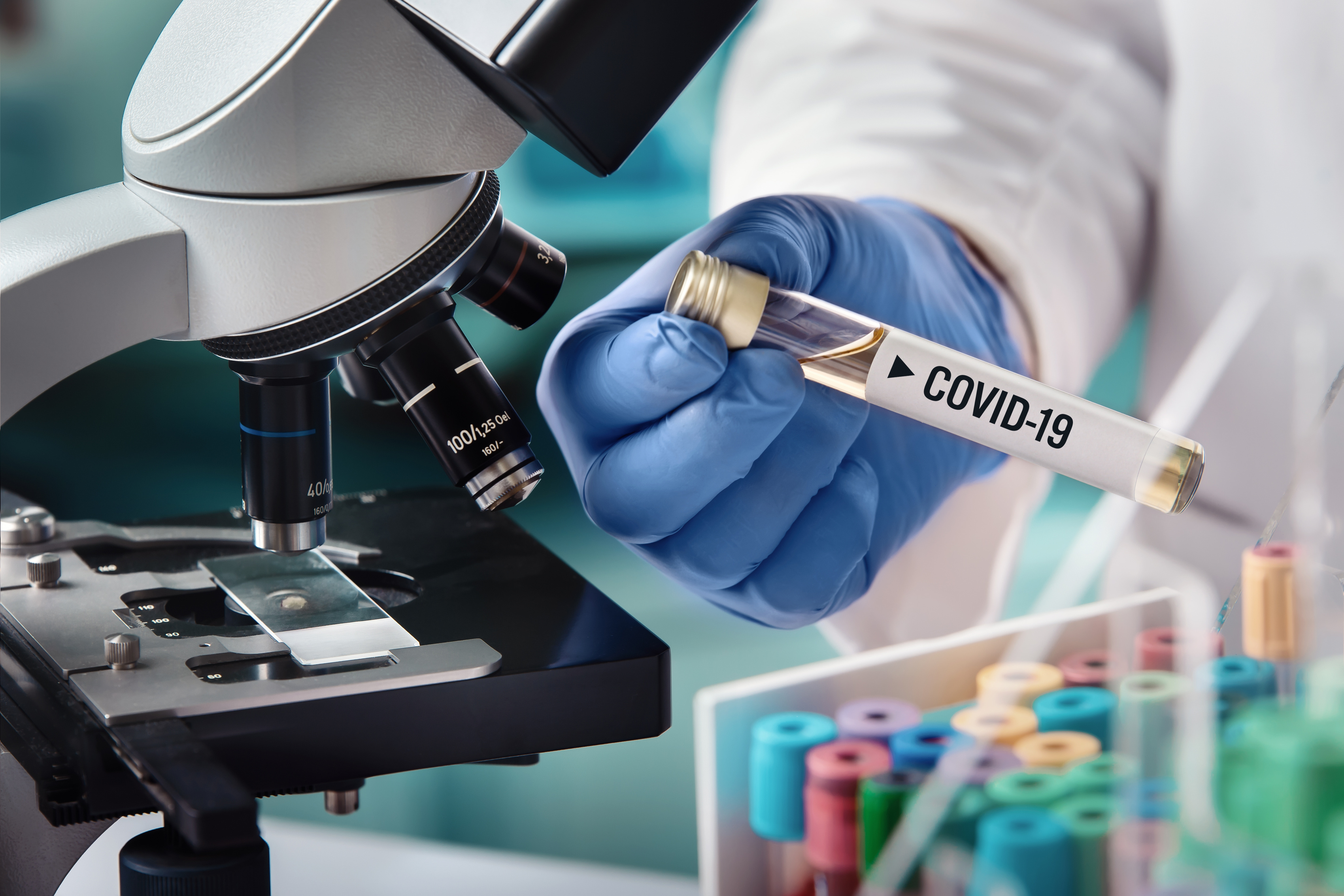 Nový odborný článek — Koronavirová nákaza u člověka